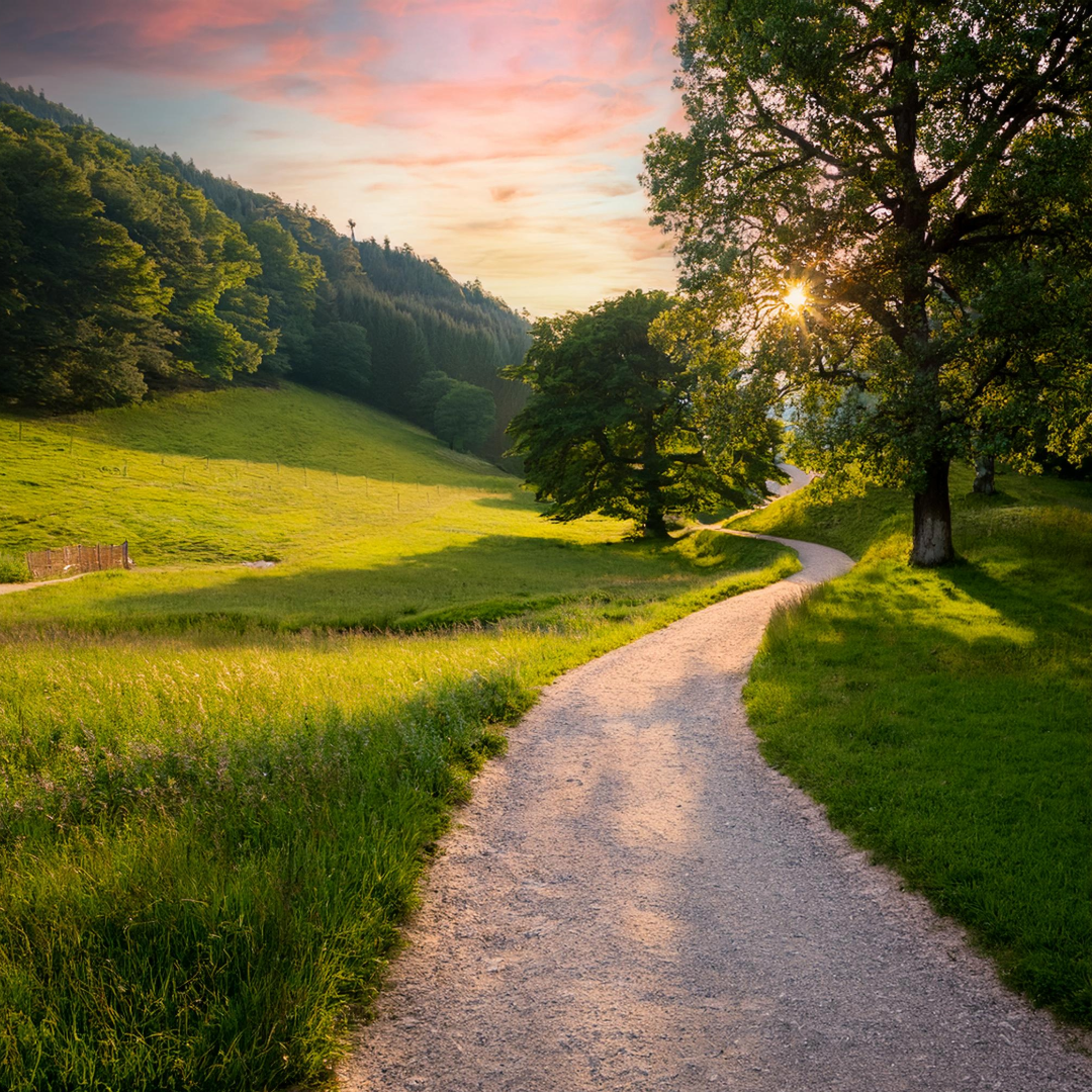 Compassionate Caregiving & Its Surprising Paths