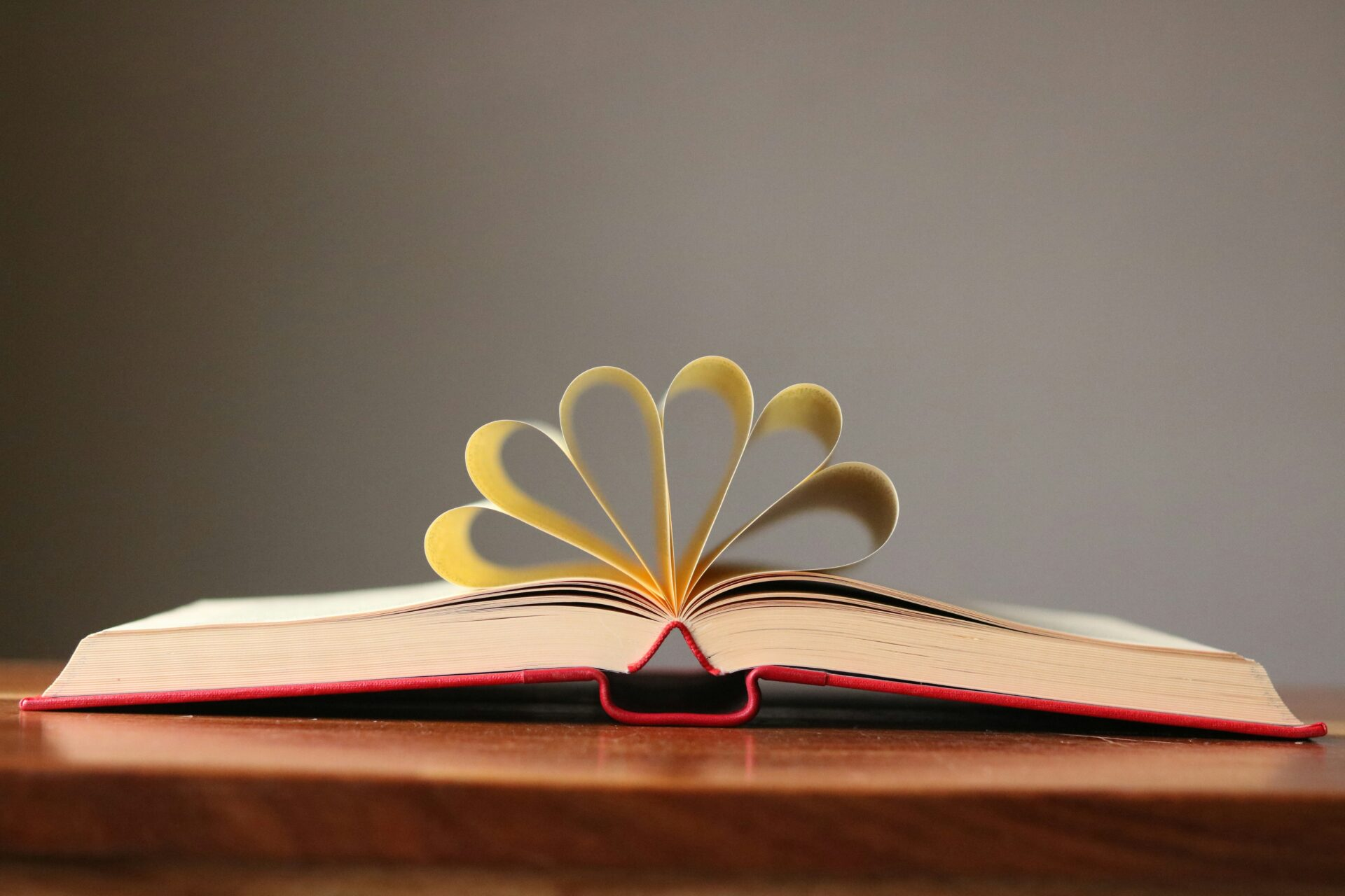 Neuroplasticity and Stress Recovery: How the Brain’s Healing Powers Support Spiritual Growth