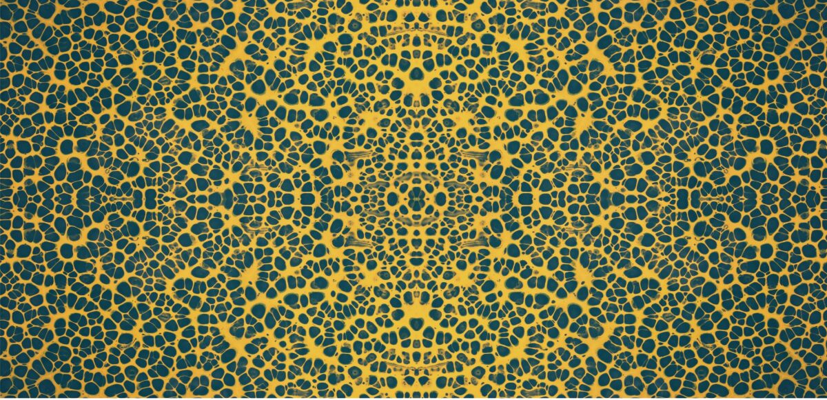 Turing Pattern