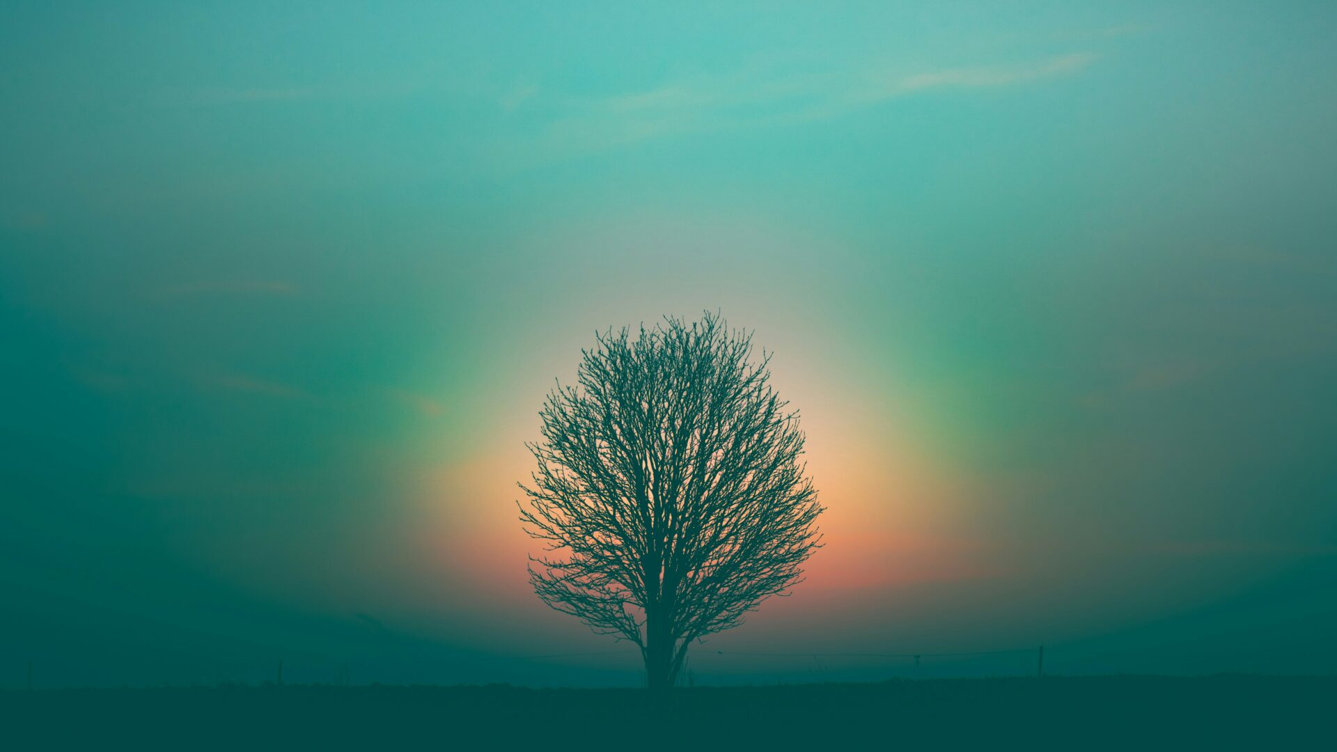 Faith & Identity: Weird Reasons Religion Might Compromise Spirituality
